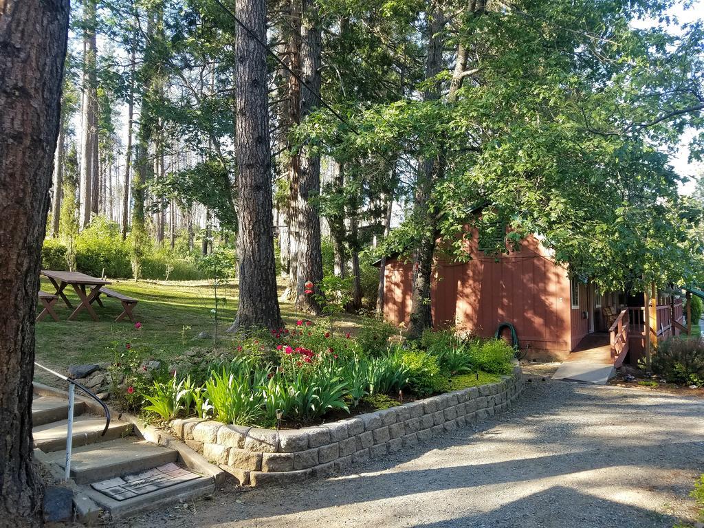 Yosemite Riverside Inn Groveland Exterior photo